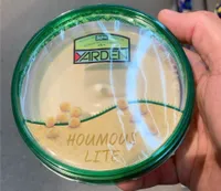 Houmus