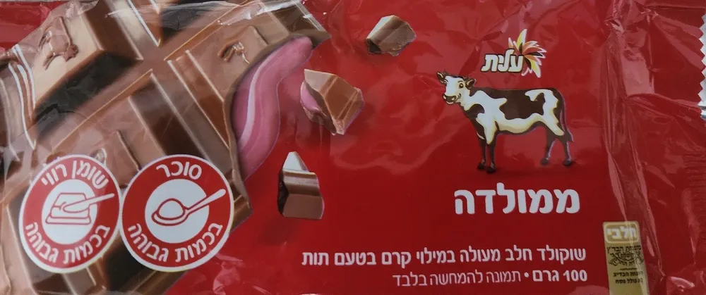 ממולדה
