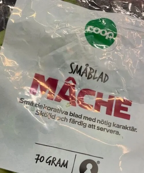 Småblad mâche