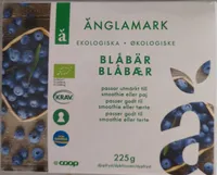 Ekologiska Blåbär