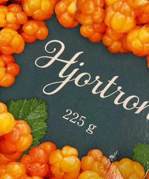 Hjortron