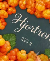Hjortron