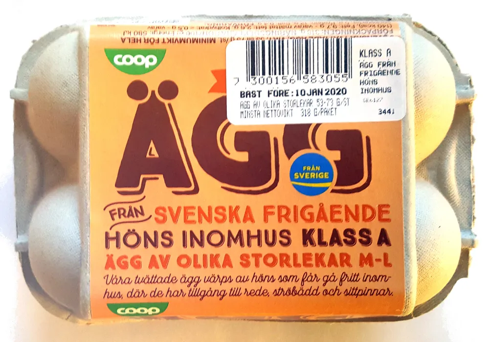 Ägg från svenska frigående höns inomhus