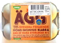 Ägg från svenska frigående höns inomhus