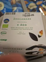 Ekologiska Ägg