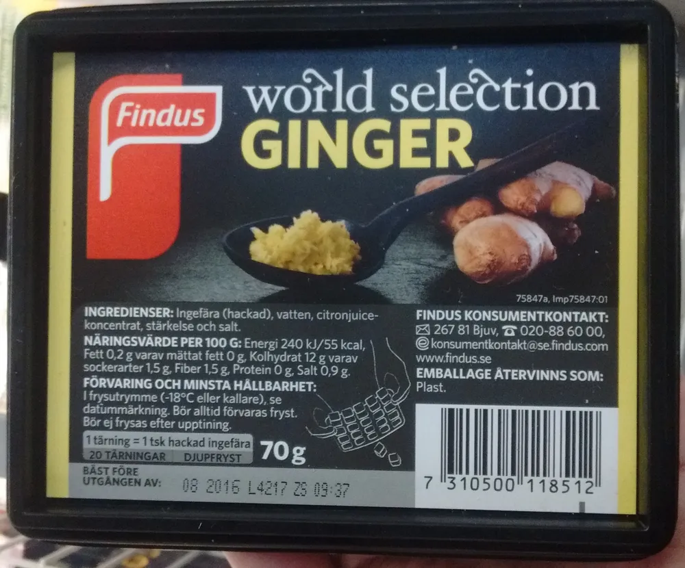 World Selection Ginger