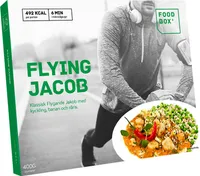 Flying Jacob