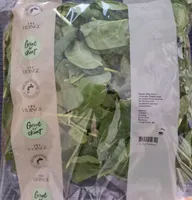 Spenat