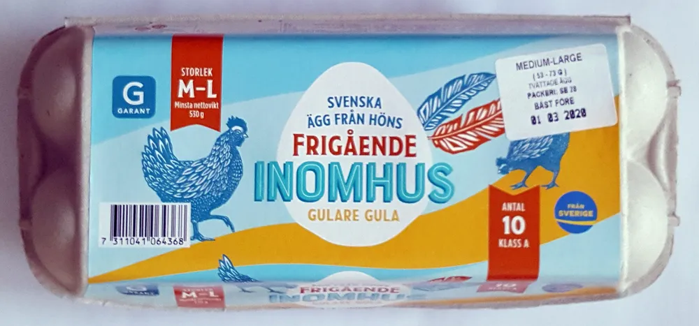 Svenska ägg från frigående inomhus gulare gula