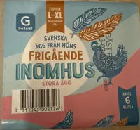 Frigående Inomhus Stora Ägg