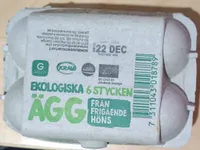 Ekologiska Ägg