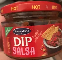 Dip salsa hot