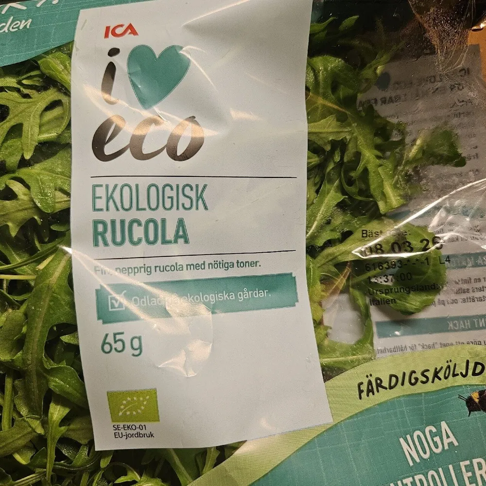 Rucola