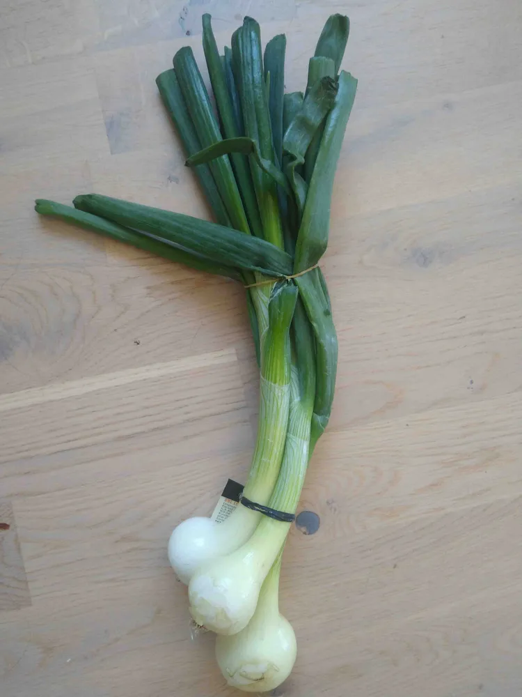 Frühlinhszwiebel