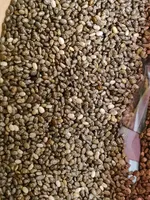 Chia Seeds (Chiafrön)