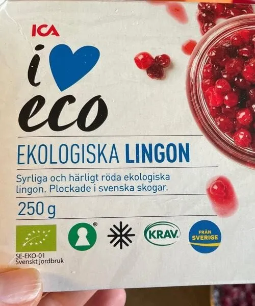 Lingon