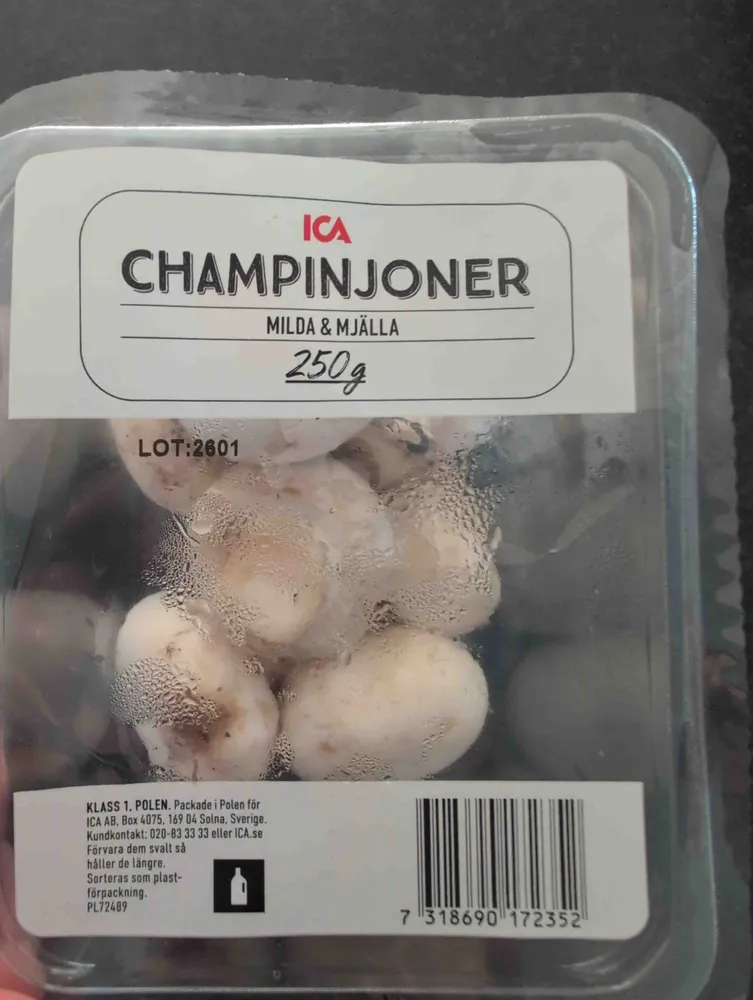 Champinjoner