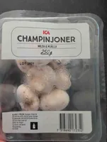 Champinjoner