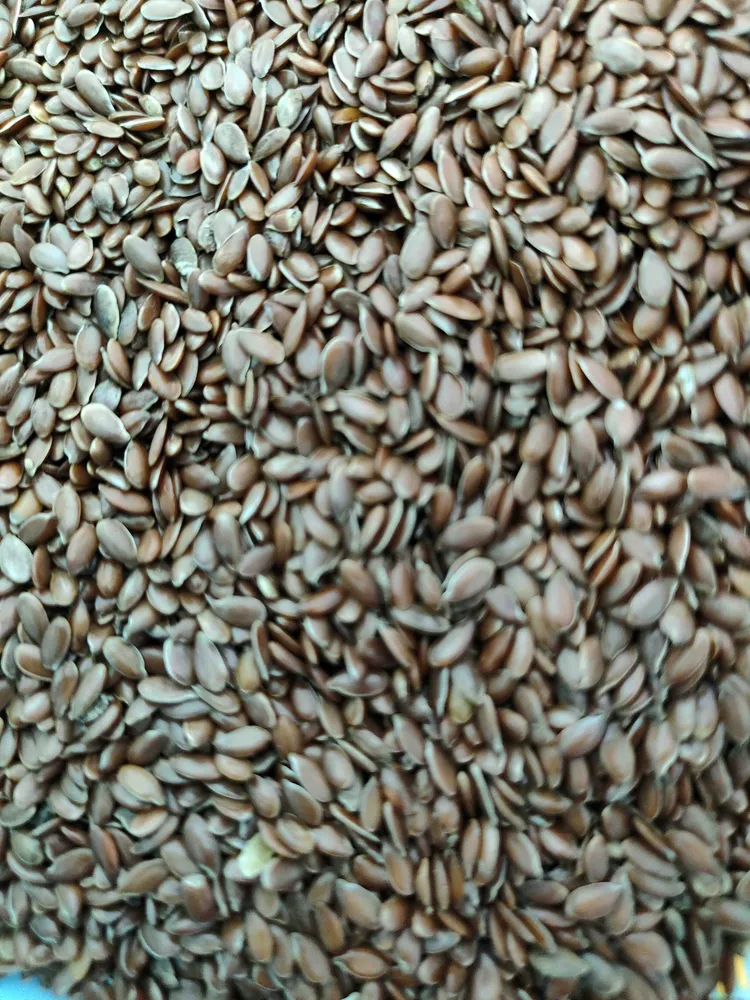 Flax Seed (Linfrön)