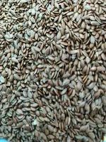 Flax Seed (Linfrön)