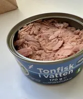 Tonfisk i vatten