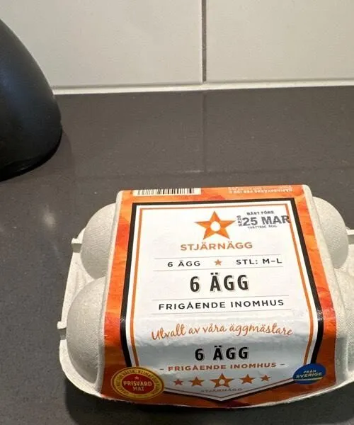 6 ägg frigående inomhus