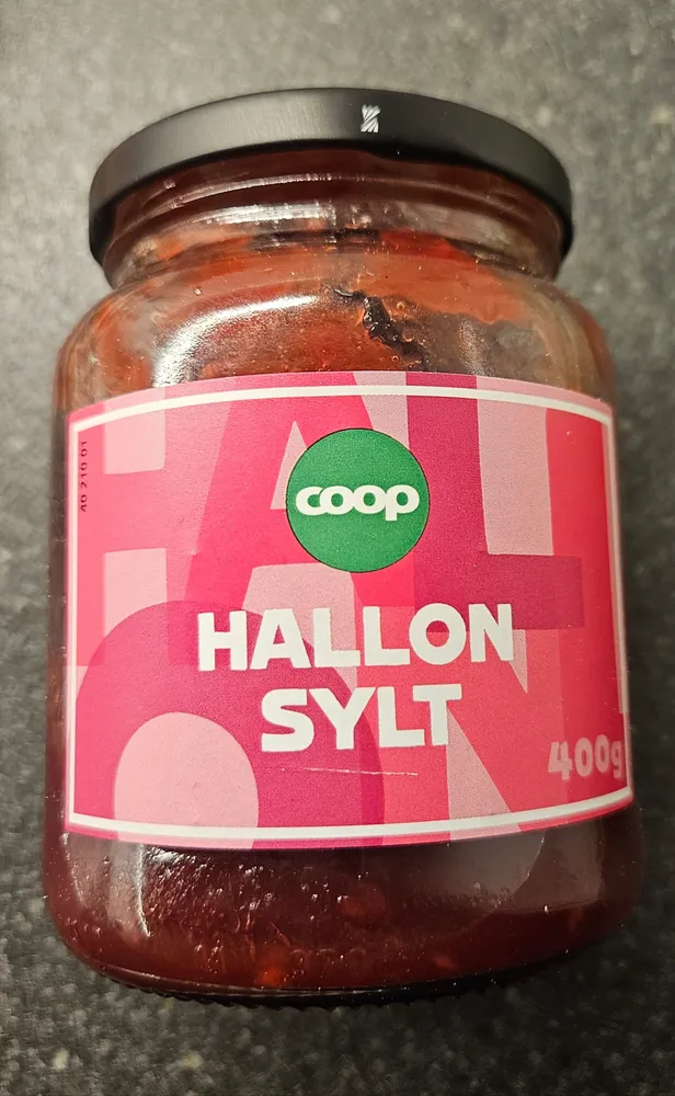 Hallon Sylt