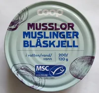 Musslor i vatten