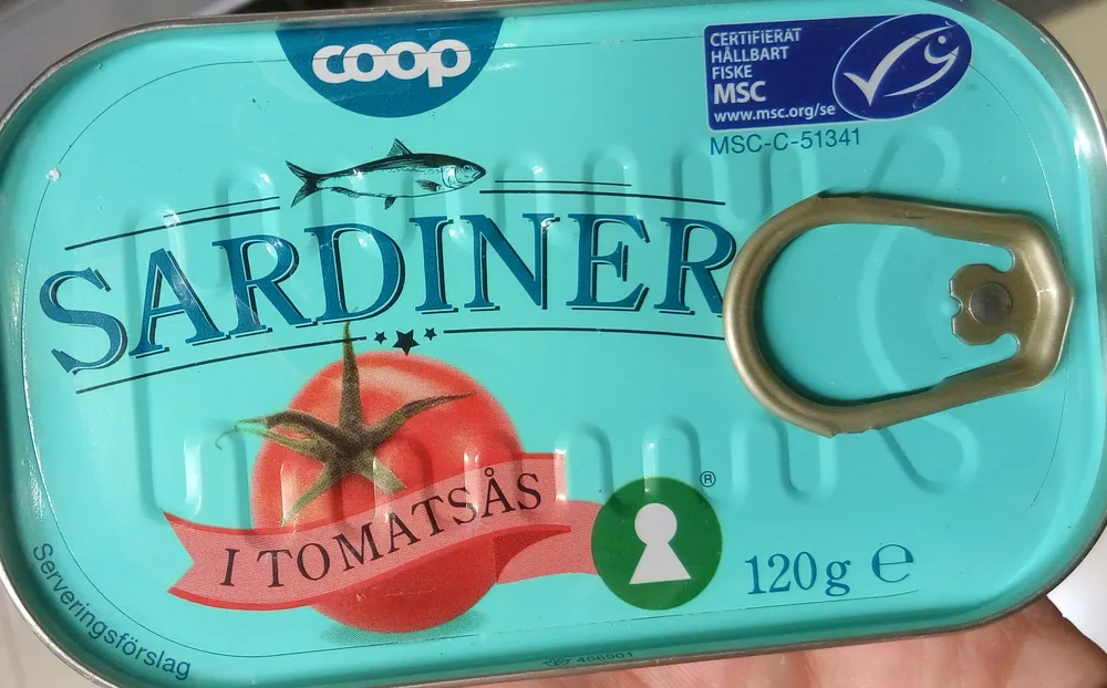 Sardiner i tomatsås