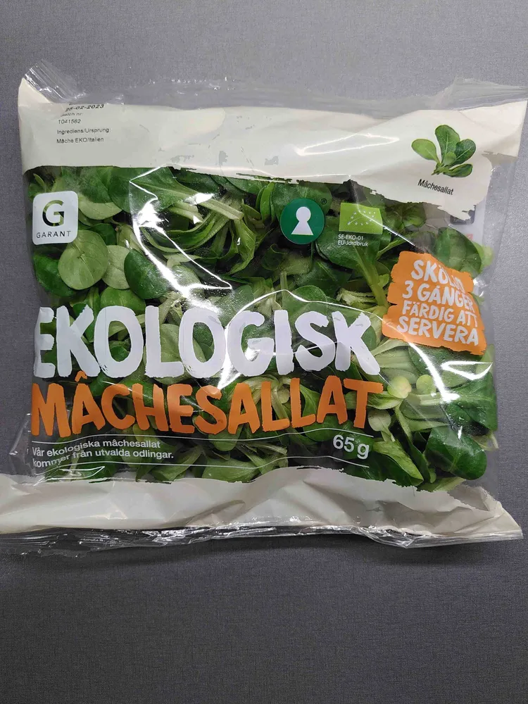 Ekologisk mâchesallat
