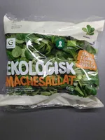 Ekologisk mâchesallat