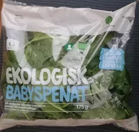 Ekologisk babyspenat