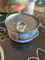 Tonfisk i vatten