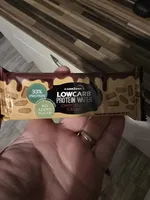 Protein Wafer