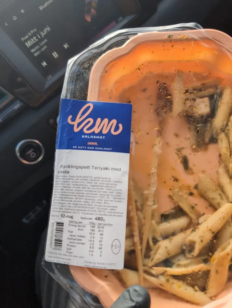 Kycklingspett Teriyaki Med Pasta