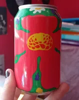 Blåbärs-soppa