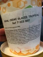 Ice cream tropical treasure