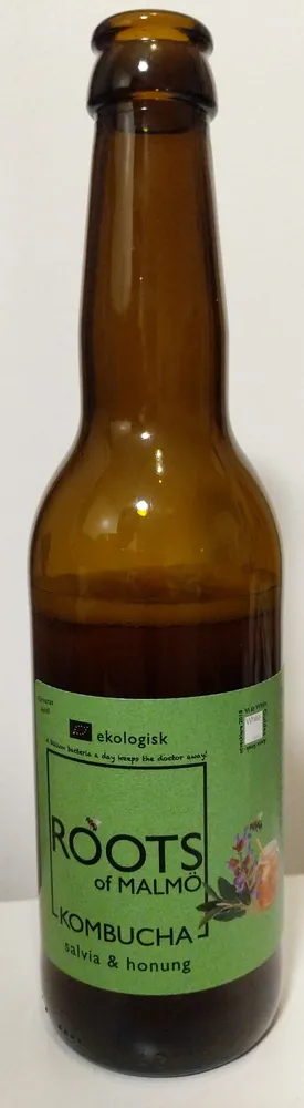 Kombucha salvia & honung