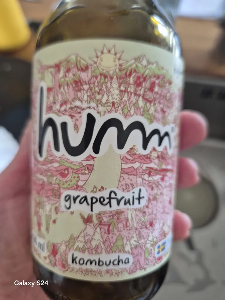 Kombucha grapefruit