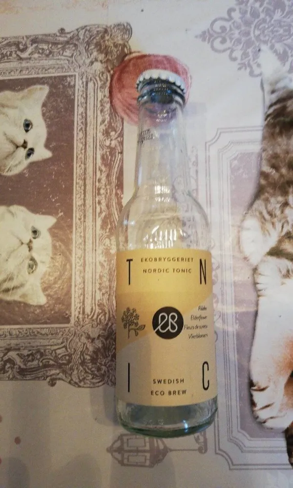 Fleurs de sureau Nordic tonic
