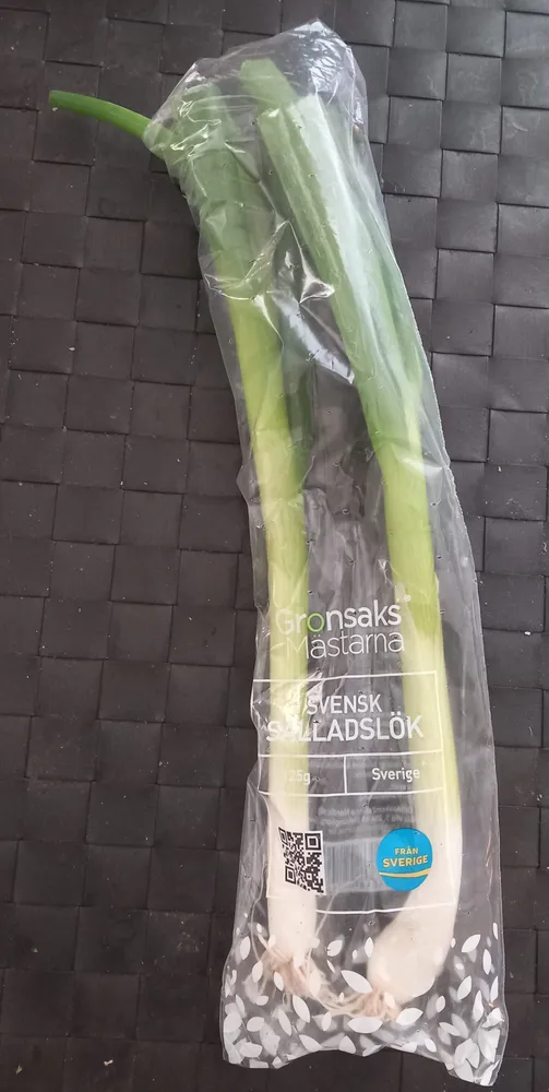 Svensk Saladslök