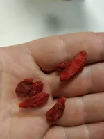 Organic Goji Berries 1kilogram (250gram X 4), Certified By Soil Association, From Tibetan Plateau