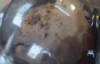 chocolate muffin