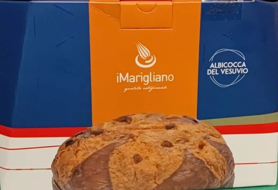 Panettone artigianale Albicocca del Vesuvio