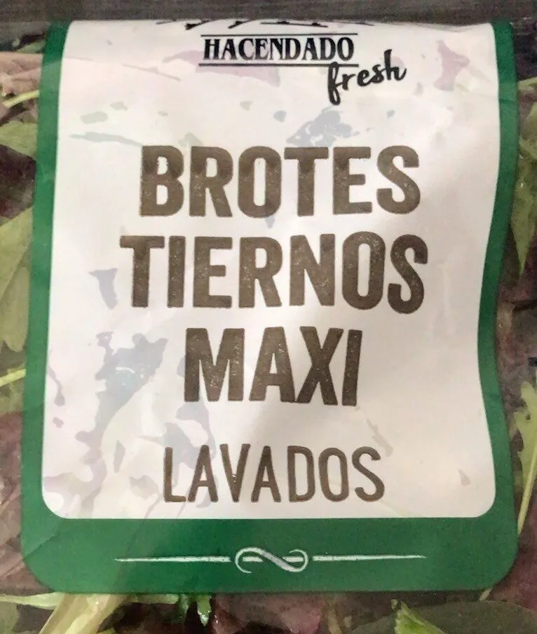 brotes tiernos maxi lavados