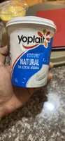 Yogurt Natural (sin azucar añadida)