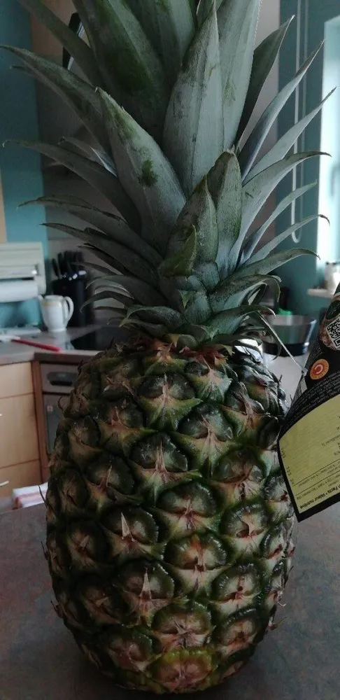 Pineapple