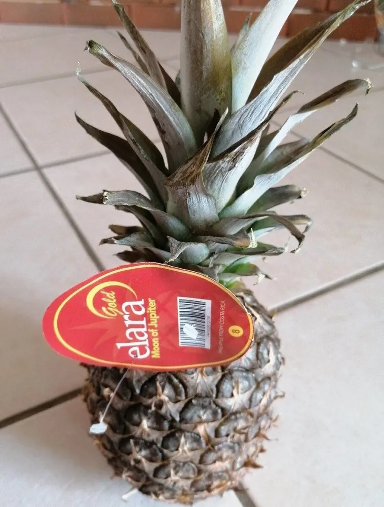 Ananas, Variété Extra Sweet