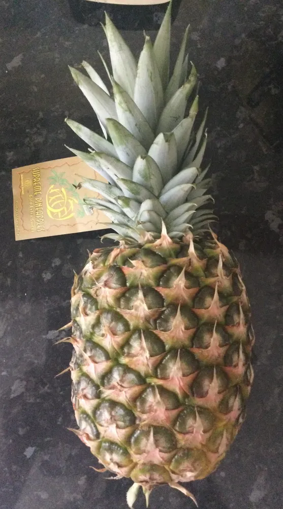 Pineapple