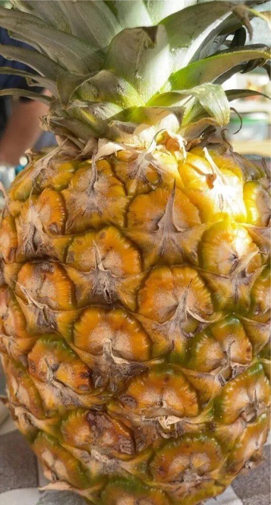 Ananas